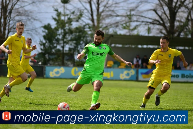 星空体育服务体系